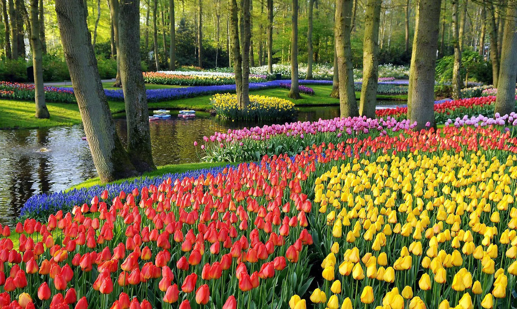 Crowne Plaza Amsterdam Airport Hotel Hoofddorp